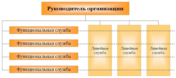 Функциональная структура управления Функциональная структура управления