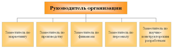 Линейно-функциональная структура Линейно-функциональная структура