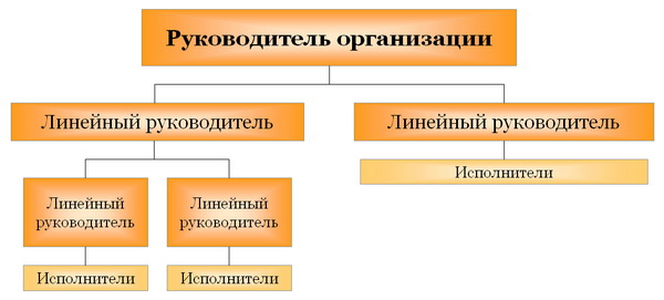 Линейная структура управления Линейная структура управления