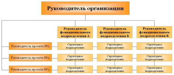 Матричная структура управления Матричная структура управления