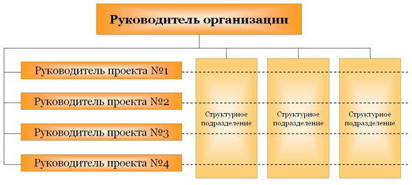 Проектная структура управления Проектная структура управления