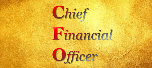 CFO (Chief Financial Officer), финансовый директор