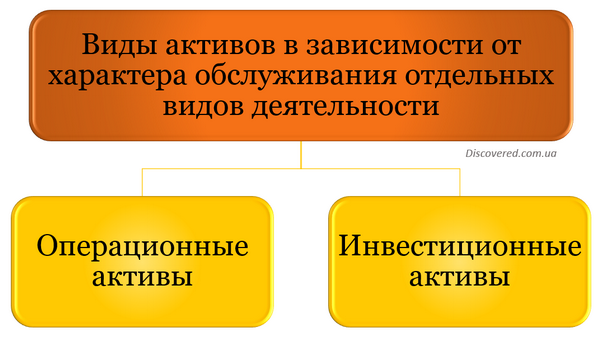 Виды активов в зависимости от характера обслуживания отдельных видов деятельности Виды активов в зависимости от характера обслуживания отдельных видов деятельности