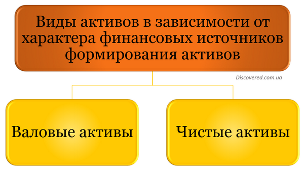 Виды активов в зависимости от характера финансовых источников формирования активов Виды активов в зависимости от характера финансовых источников формирования активов