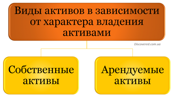 Виды активов в зависимости от характера владения активами Виды активов в зависимости от характера владения активами