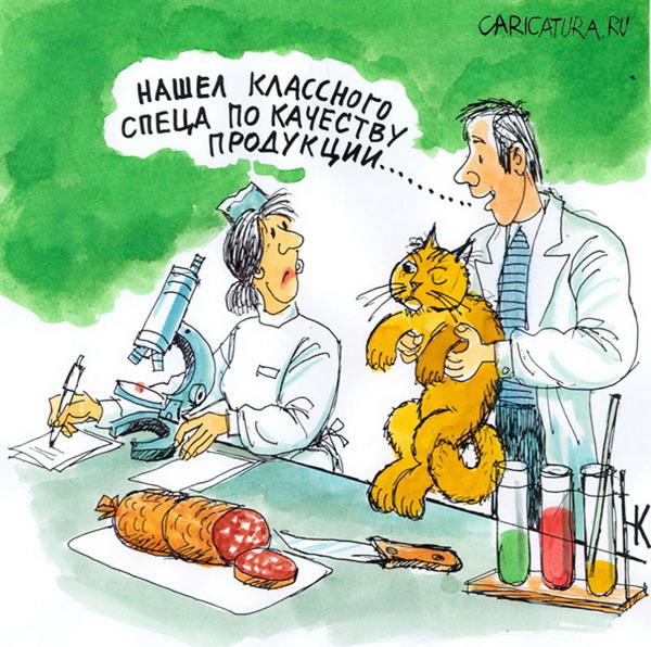 Карикатура про эксперта