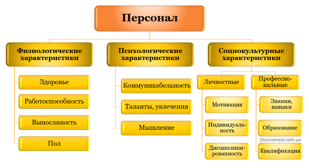 Классификация персонала