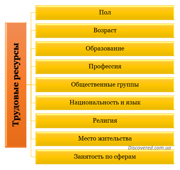 Структура трудовых ресурсов