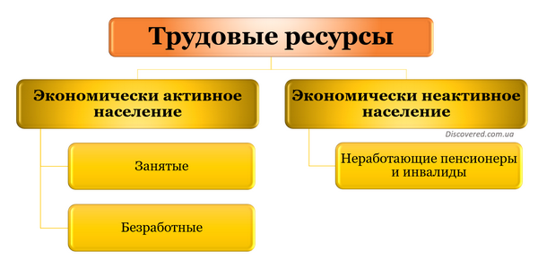 Состав трудовых ресурсов